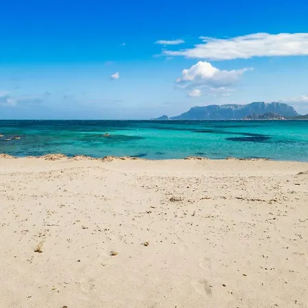 Lejlighedshotel Le Dimore Di Nettuno
